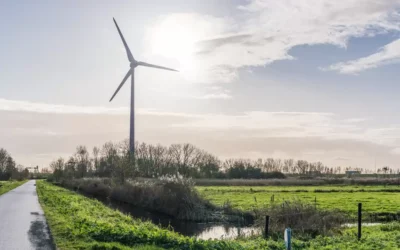 NU.nl: Hoe duurzaam zijn groene energieleveranciers?